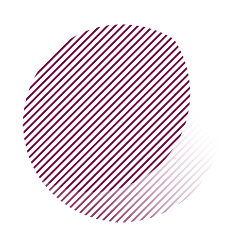 https://www.marabout-belgique.be/wp-content/uploads/2018/05/reports_03.png